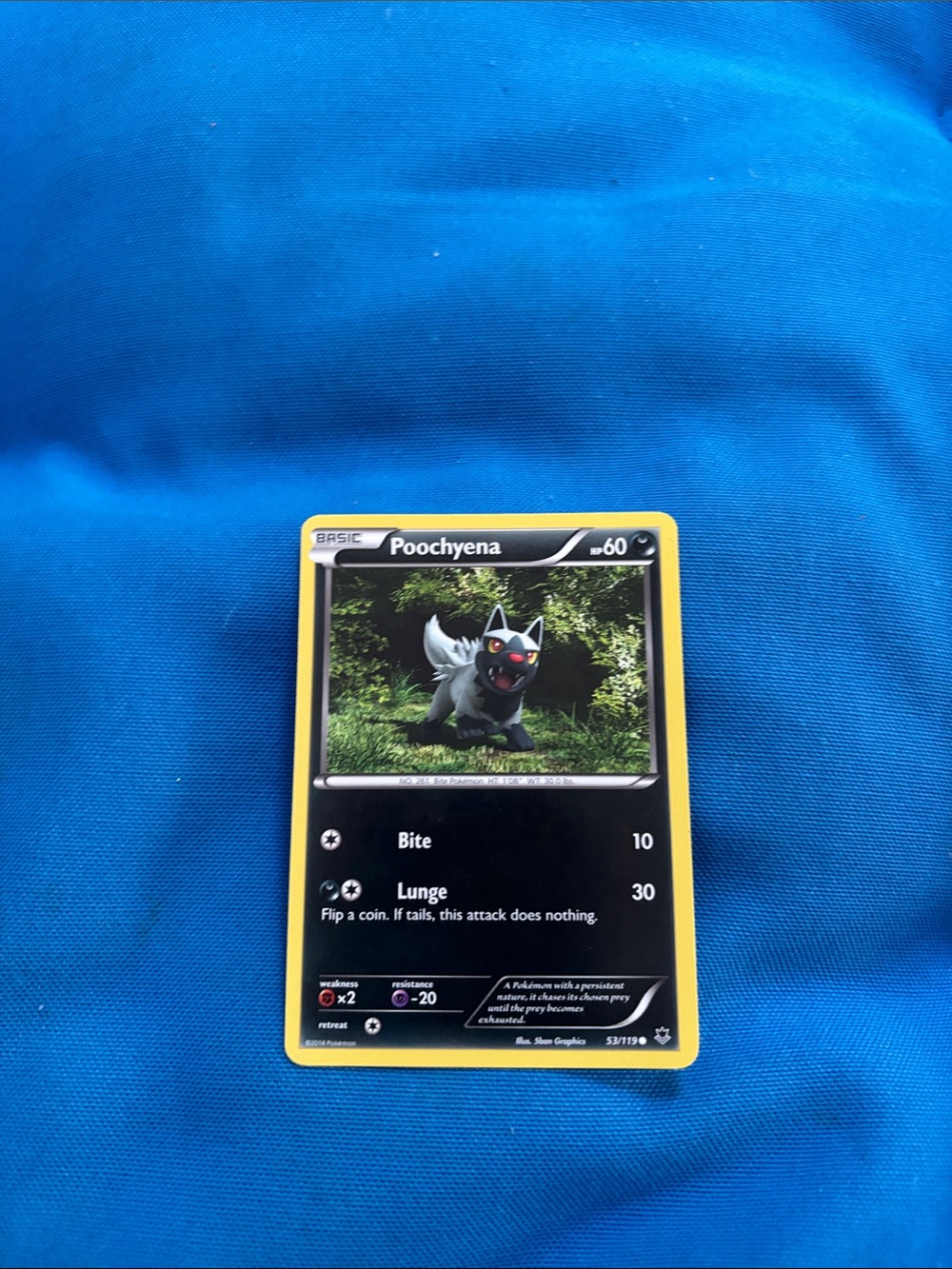 Pokémon Cards Poochyena HP 60 2014 NWOTS